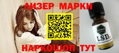прущие грибы Малгобек