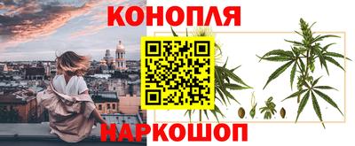 прущие грибы Малгобек