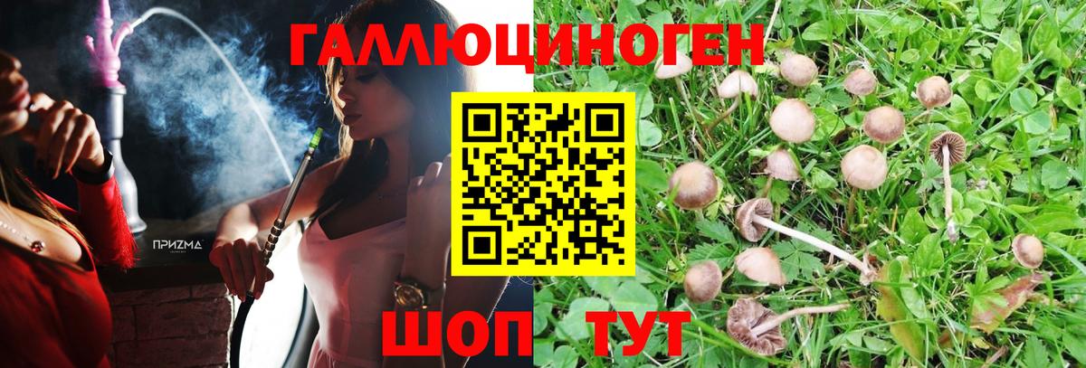 Псилоцибиновые грибы MAGIC MUSHROOMS  Вход с VPN  Севастополь 