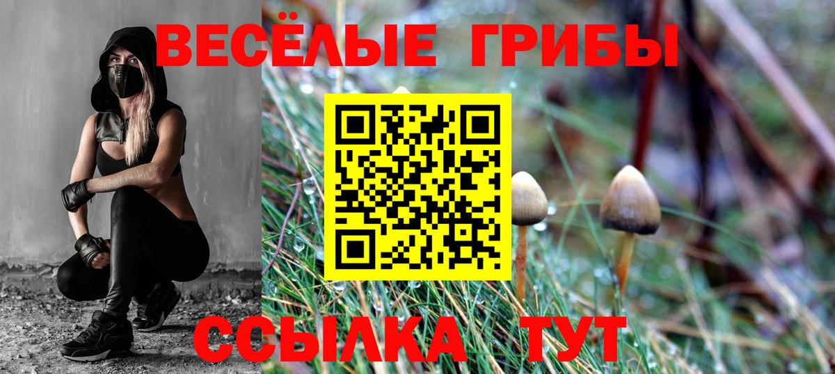 Псилоцибиновые грибы Cubensis Севастополь